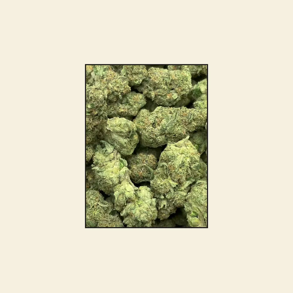 Astro Candy hemp THCA flower, greenhouse, on cream paper
