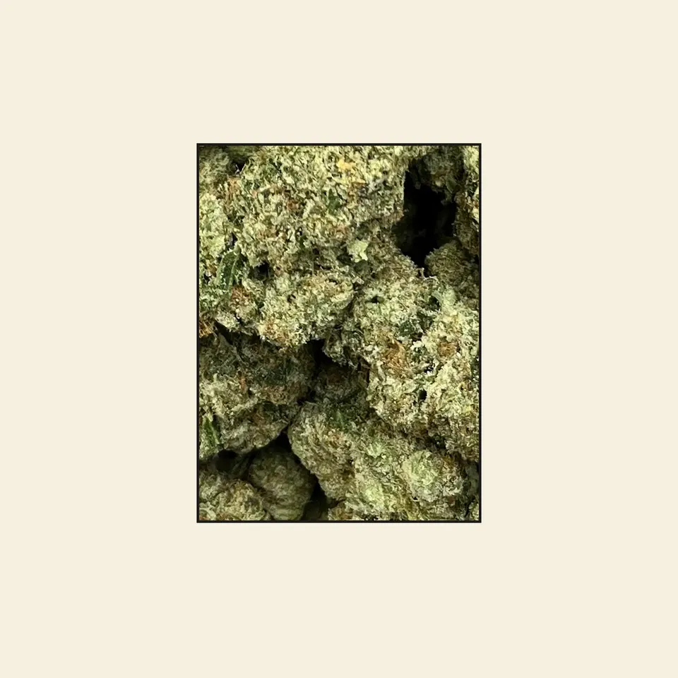 Blue Meteorite hemp THCA flower, greenhouse, on cream paper