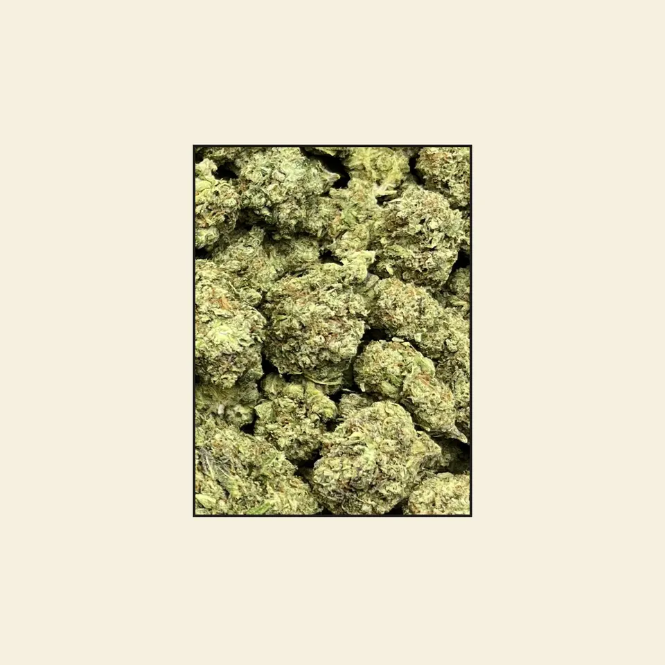 G41 hemp THCA flower, greenhouse, on cream paper