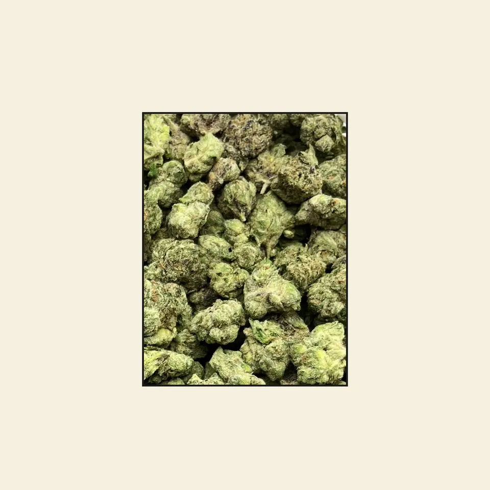 LFG hemp THCA flower, greenhouse, on cream paper