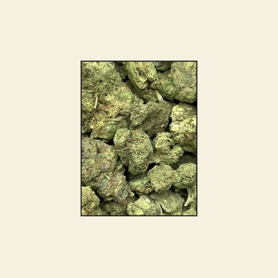 Motor Head hemp THCA flower, greenhouse, on cream paper
